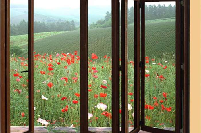 Aluminum Alloy Doors and Windows