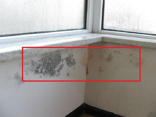 Window Frame How to Solve the Leakage? What Kind of Glue Is Better for Window Frame Leakage?