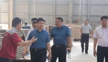 Shandong Provincial Department of Industry and Information Technology Went to Qianyi Town to Investigate the Development of Wood Industry Cluster