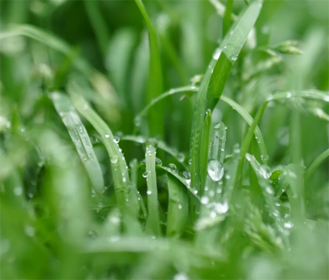 科瑟门窗丨春夏交替多雨，选对系统门窗，守护居家干爽舒适